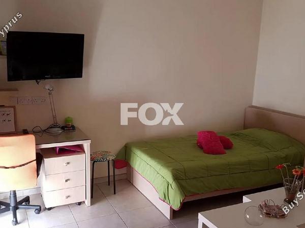 studio ground floor apartment for rent katholiki limassol 8826881 image 17104329