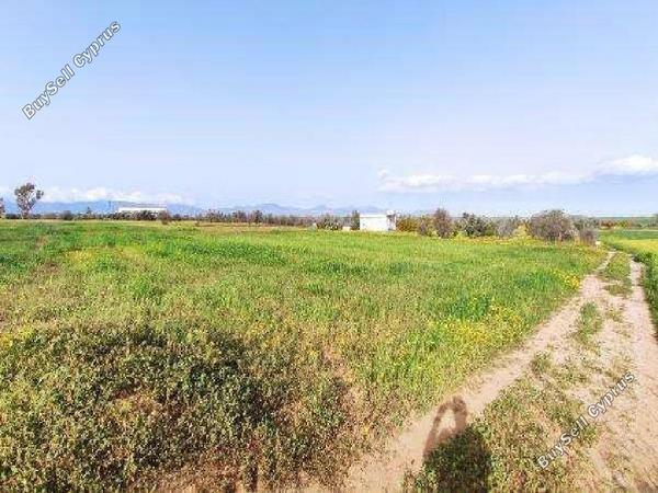 land for sale palaiometocho nicosia 8597981 image 15735682