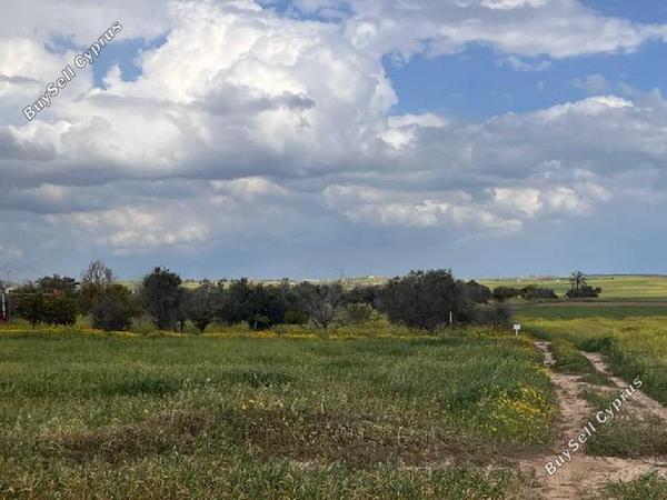 land for sale palaiometocho nicosia 8597981 image 15735684