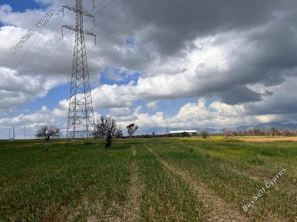 land for sale palaiometocho nicosia 8597981 image 15735686