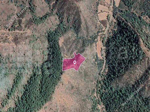 land for sale pigenia nicosia 7871981 image 11383754