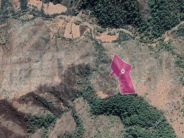 land for sale pigenia nicosia 7871981 image 11383756