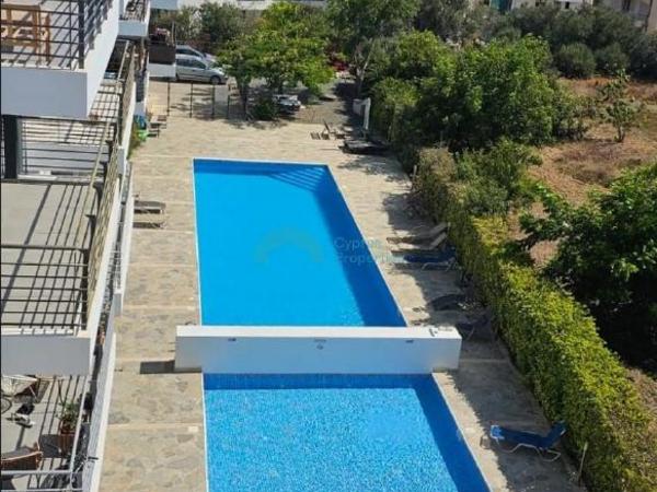 2 bedroom apartment for rent geroskipou paphos 8936091 image 17632982