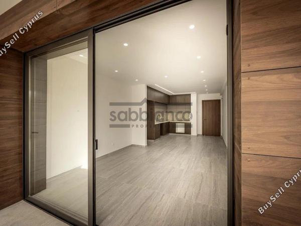 2 bedroom apartment for sale aradippou larnaca 8745191 image 16429497