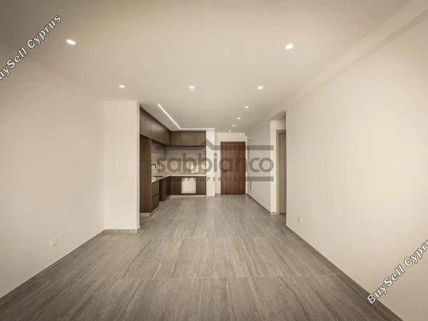 2 bedroom apartment for sale aradippou larnaca 8745191 image 16429511