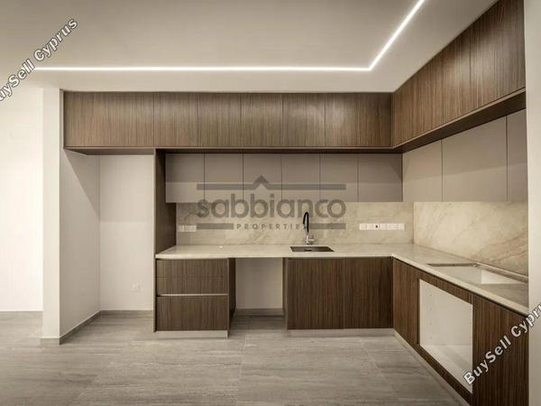 2 bedroom apartment for sale aradippou larnaca 8745191 image 16429521