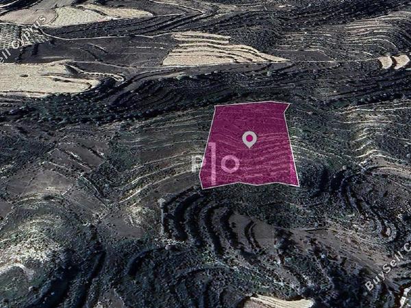 land for sale pachna limassol 8275191 image 15158190