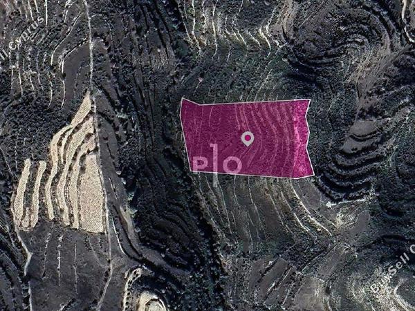 land for sale pachna limassol 8275191 image 15158191