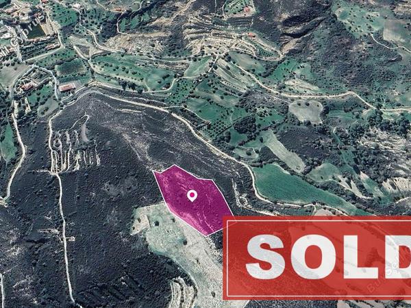 land sold kato drys larnaca 1057191 image 2680124