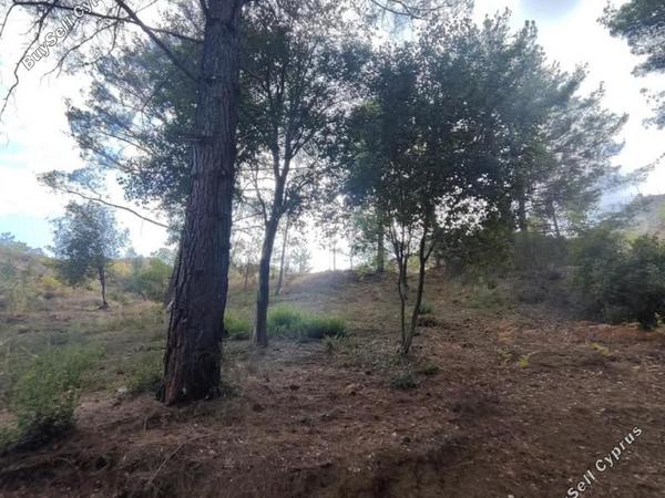 plot for sale pano platres limassol 8936191 image 17832913