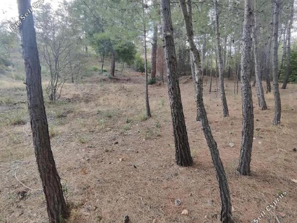 plot for sale pano platres limassol 8936191 image 17832917