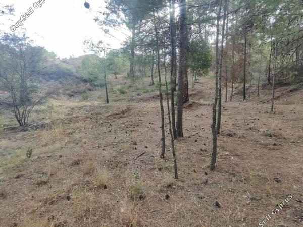 plot for sale pano platres limassol 8936191 image 17832920