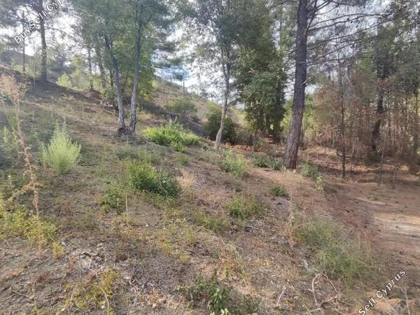 plot for sale pano platres limassol 8936191 image 17832921