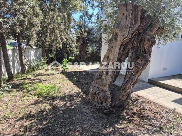 2 bedroom detached house for sale psevdas larnaca 8376291 image 14907391