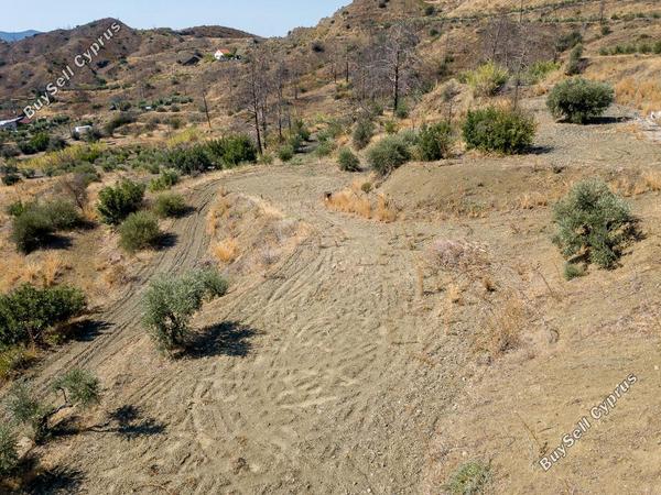 land for sale ora larnaca 1336291 image 10737876
