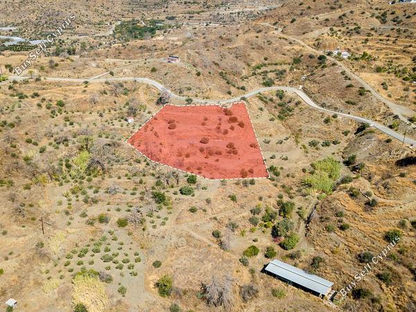 land for sale ora larnaca 1336291 image 10737880