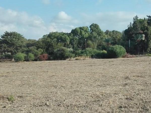 land for sale poli chrysochous paphos 8395291 image 14818298