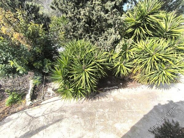 3 bedroom detached house for sale tsada paphos 8395391 image 16535365