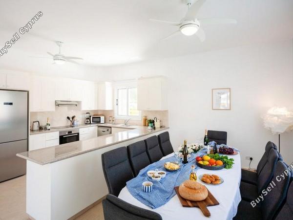5 bedroom detached house for sale coral bay paphos 8382391 image 14706671