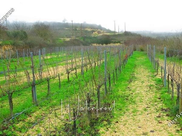 land for sale pano arodes paphos 8959391 image 17781158
