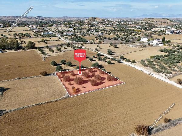land for sale pera orinis nicosia 946391 image 6814256