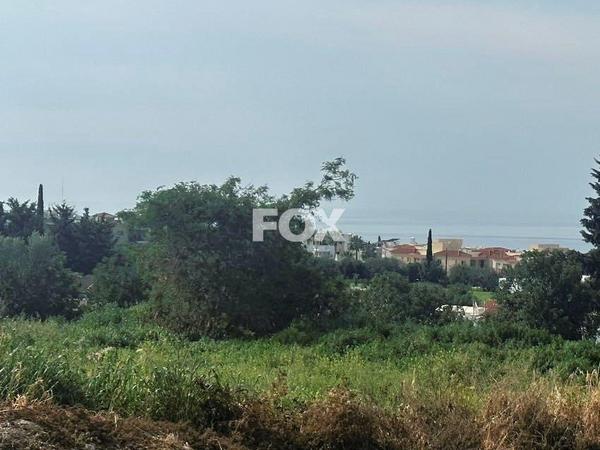 land for sale peyia paphos 1316391 image 10034404