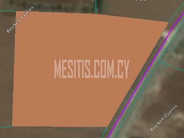 plot for sale agioi trimithias nicosia 976391 image 10559856
