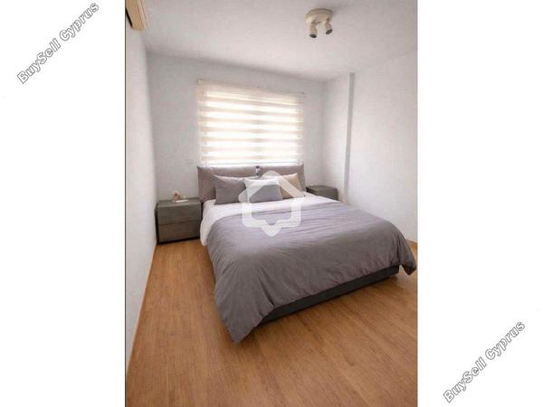 2 bedroom apartment for rent acropolis nicosia 8587491 image 15969709