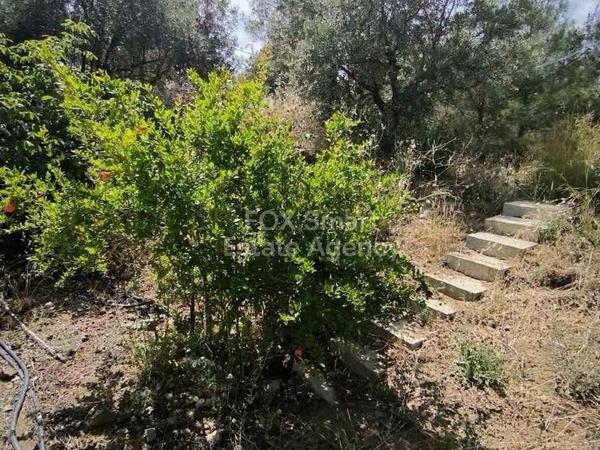 2 bedroom detached house for sale lythrodontas nicosia 1525491 image 5198921