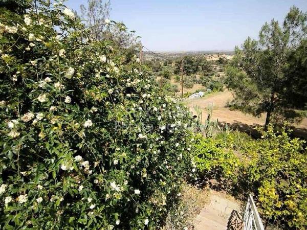 2 bedroom detached house for sale lythrodontas nicosia 1525491 image 5198933