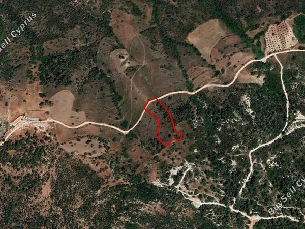 land for sale ineia paphos 1012491 image 17511478