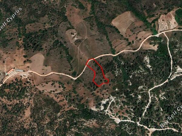 land for sale ineia paphos 1012491 image 2809212
