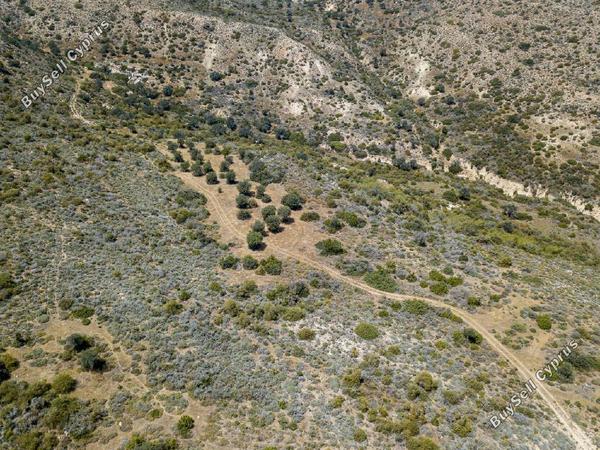 land for sale pissouri limassol 1041491 image 15602139