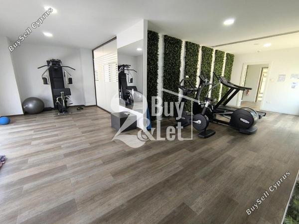 studio commercial development for sale mouttagiaka limassol 8081491 image 13712234