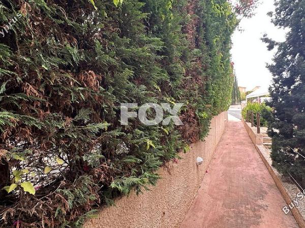 3 bedroom bungalow for sale chlorakas paphos 8675591 image 16058458