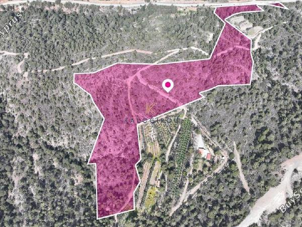land for sale louvaras limassol 1650591 image 5672528