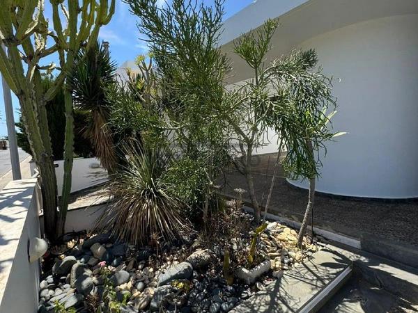 3 bedroom detached house for sale ayia napa famagusta 8739691 image 16373750