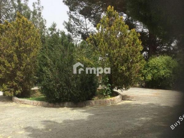 4 bedroom detached house for sale klirou nicosia 1728691 image 5524384