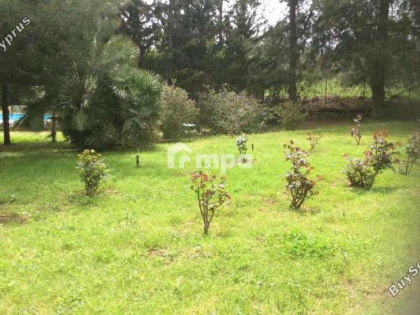4 bedroom detached house for sale klirou nicosia 1728691 image 5524386