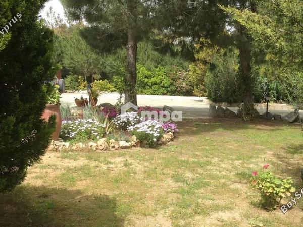4 bedroom detached house for sale klirou nicosia 1728691 image 5524410
