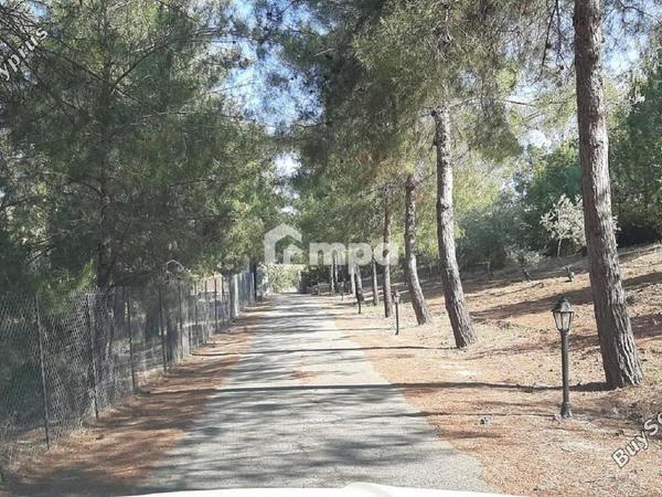 4 bedroom detached house for sale klirou nicosia 1728691 image 5524416