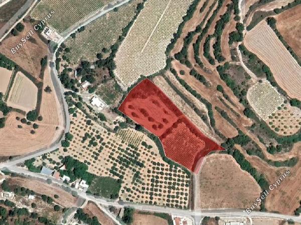 land for sale fyti paphos 954691 image 15599792