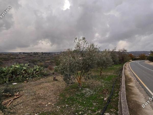 land for sale letymvou paphos 1898691 image 14220413