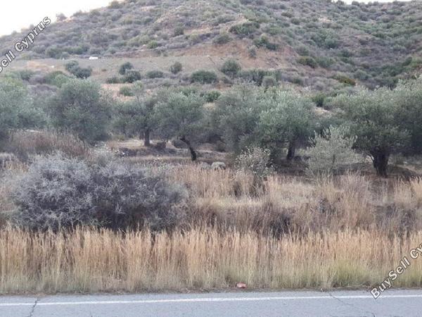 land for sale ora larnaca 830691 image 16545371
