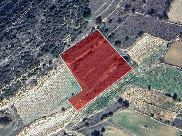 land for sale pachna limassol 8726691 image 16333363