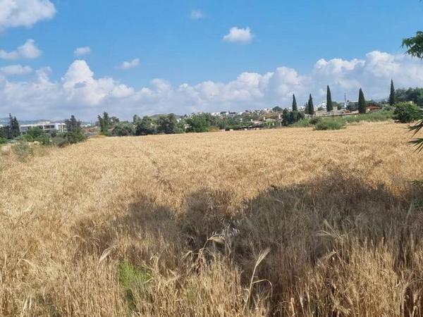 land for sale poli chrysochous paphos 1018691 image 1049845