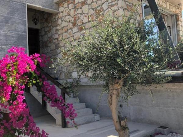3 bedroom bungalow for sale kathikas paphos 7739791 image 12578130