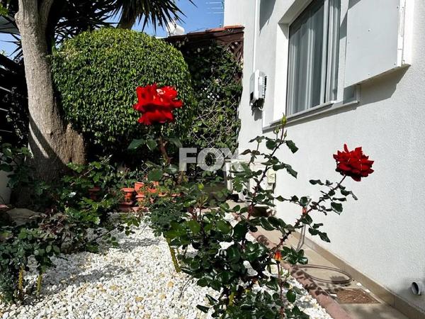 4 bedroom detached house for rent peyia paphos 8597791 image 16152459