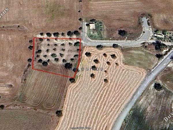 land for sale anglisides larnaca 1420791 image 5647647