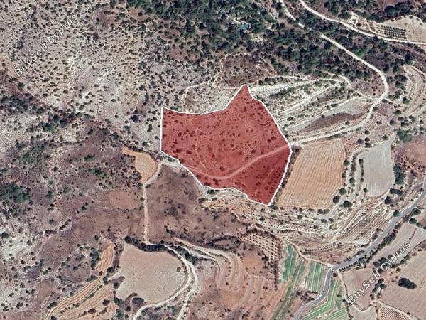 land for sale amargeti paphos 8629891 image 15870432